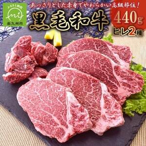 黒毛和牛 ヒレ 2種 ステーキカット サイコロカット 鹿児島県産 牛肉 赤身 カミチク 南九州市【配送不可地域：離島】【1185923】