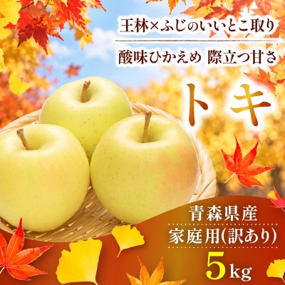 【10月から順次発送】訳あり 青森りんご トキ 約5kg  ふじと王林の良いとこどり【配送不可地域：沖縄県】