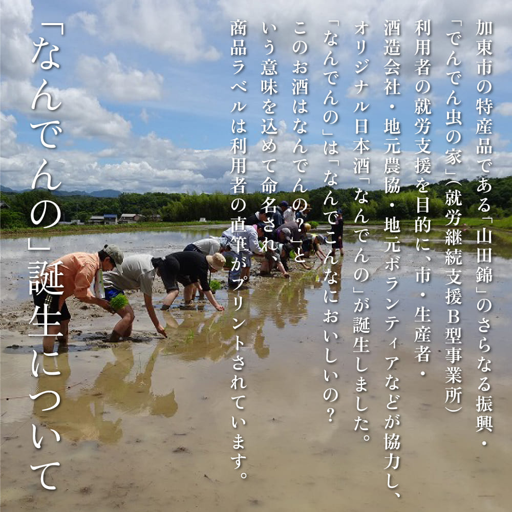 真澄 山花 ・ 剣菱 なんでんの 飲み比べ セット 各720ml 加東市特A地区産山田錦使用[ 宮坂醸造 剣菱酒造  純米大吟醸 純米酒 日本酒 酒 お酒 四合瓶 贈答品 ]