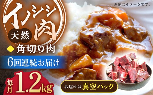 
										
										【6回定期便】ジビエ 天然イノシシ肉 角切り肉 1.2kg（カレー・シチュー）【照本食肉加工所】 [OAJ065]
									