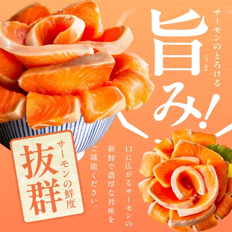 【お試し】サーモン 500g ポーション【訳あり】