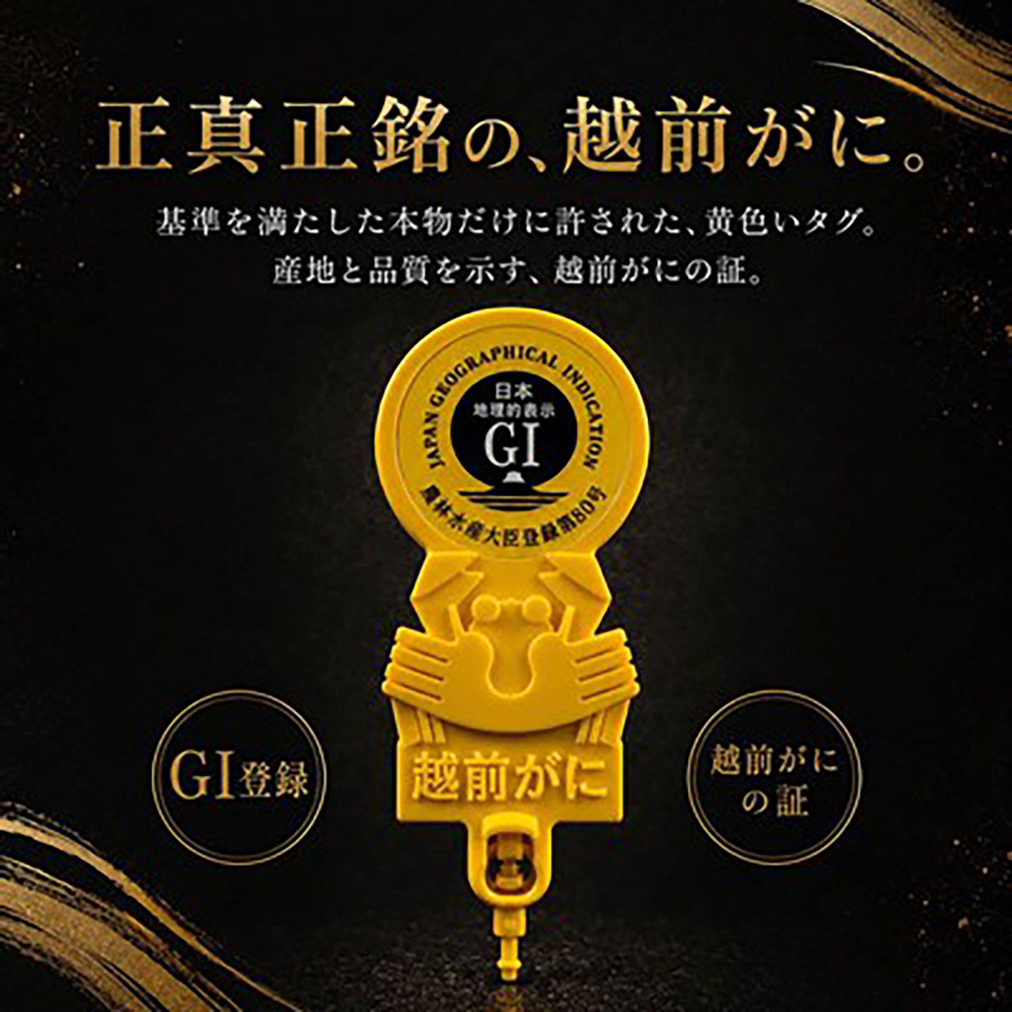 【先行予約/11月18日より順次配送】越前がに 900g×1杯 茹で 福井県産ズワイガニ / かに カニ 蟹 越前ガニ ズワイガニ ボイル / 小浜市 / 一進わかさ【配送不可地域：北海道・沖縄・離島