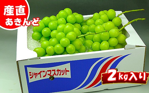 《2026年発送》特秀品シャインマスカット2kgの詰め合わせ