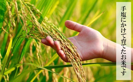 農家直送！新米 令和7年度産 宮城県亘理町産 ひとめぼれ 10kg お米 ライス 白米 精米 ブランド米 ご飯 炭水化物 