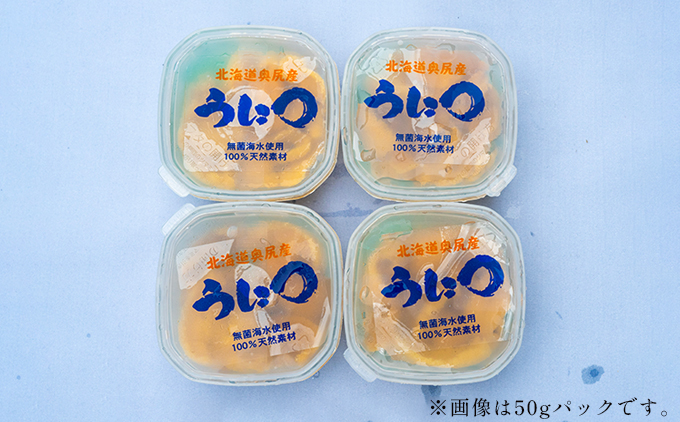 【2026年7月上旬頃より順次発送】北海道奥尻産「キタムラサキウニ」100g (50g×2パック) 塩水パック【期日指定不可】 | 冷蔵 | 北海道 奥尻町 送料無料 100g (50g×2パック)