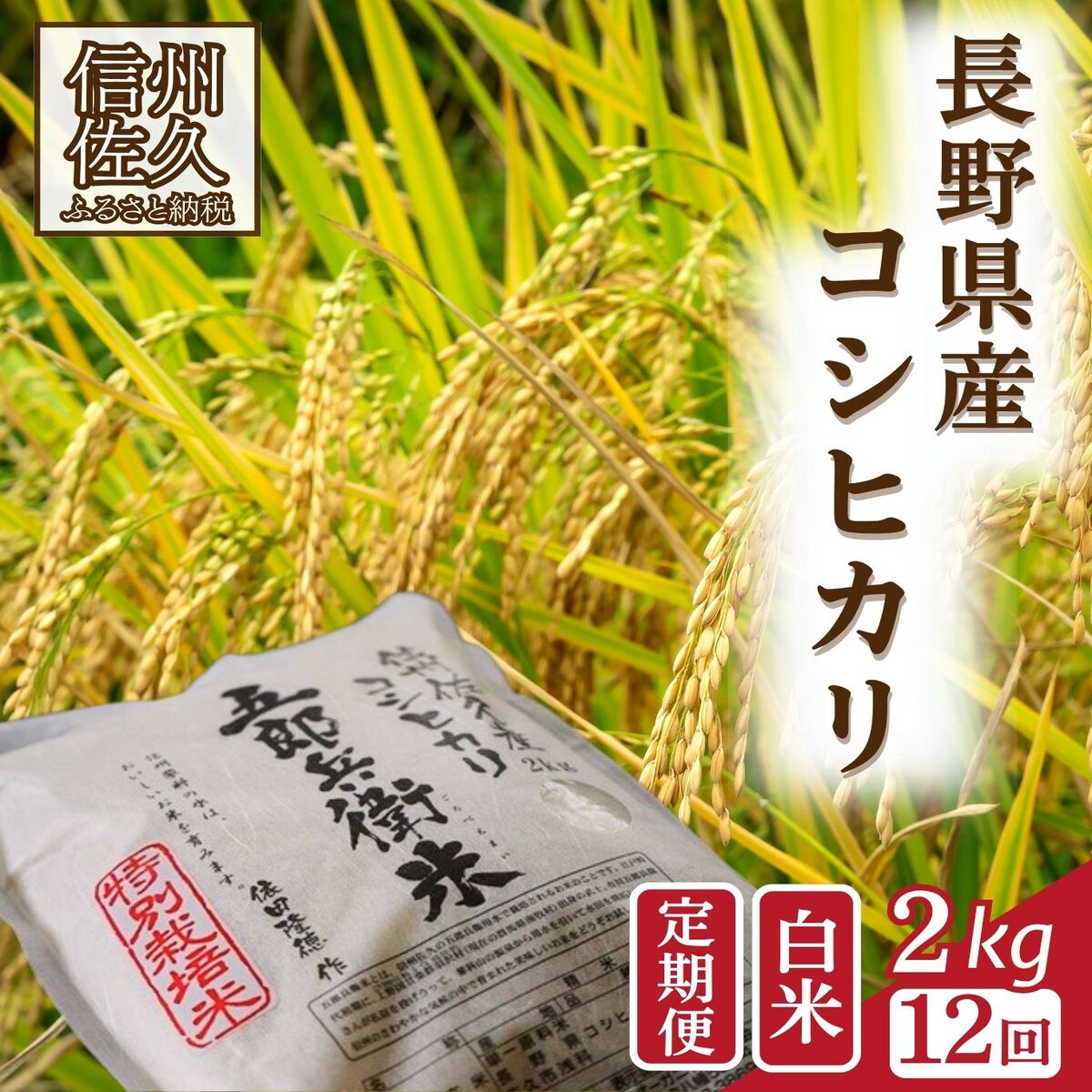 【ふるさと納税】【令和7年産・白米2kg×12カ月定期便】 特別栽培米 五郎兵衛米 〈2025年9月中旬頃～順次発送〉先行予約 新米 信州 こしひかり【 米 コメ 白米 精米 お米 こめ おこめ 備蓄品 コシヒカリ 長野県 佐久市 】
