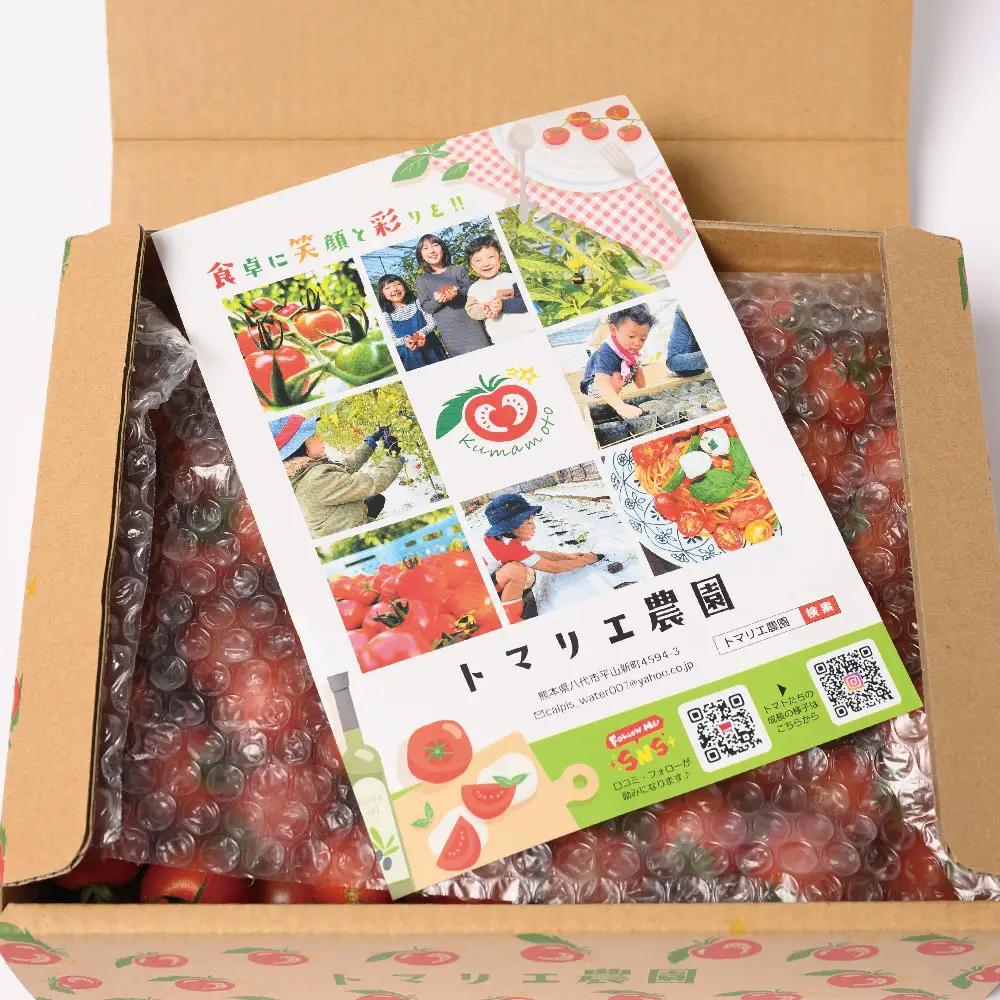 トマト 【先行予約】 野菜ソムリエ 岡田健志郎が育てた　ミニトマト 1.2kg以上 【2026年12月上旬より順次発送】 トマト