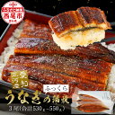 【ふるさと納税】 うなぎ 西尾 三河産 特大 蒲焼 3尾（530g〜550g）A087-24【冷凍便】国産 西尾産 日本産 愛知県産 西尾市産 鰻 蒲焼き タレ付き たれセット さんしょう 土用の丑の日 丑の日 海鮮 食品 魚介類 特大サイズ MB