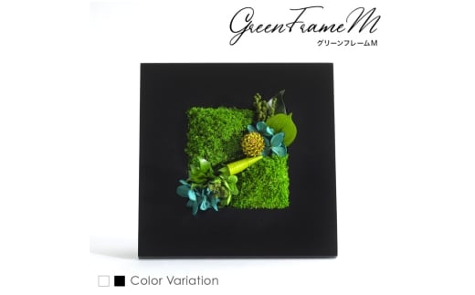 グリーンフレームM 花 お花 プリザーブドフラワー ギフト プレゼント お祝い 誕生日 お供え アレンジ インテリア 東京都 墨田区【黒フレーム】 [№5619-6304]