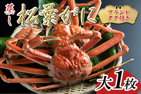 【蒸し】ブランドタグ付き松葉ガニ 大 1枚 2026年11月～順次発送｜鳥取 岩美 松葉がに かに【22055】