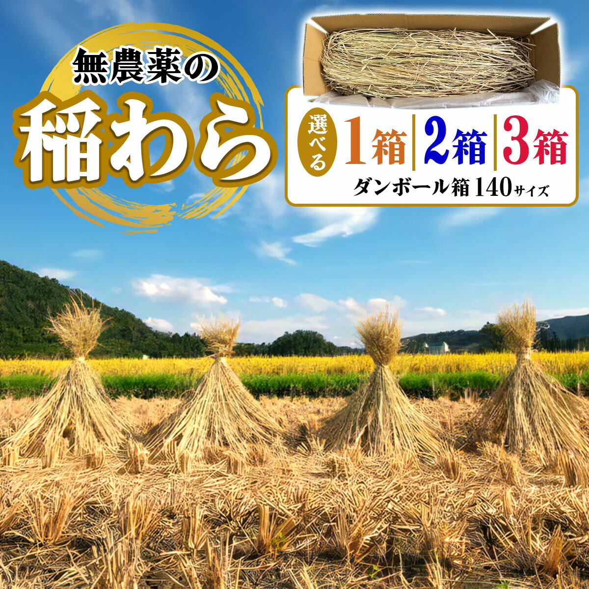 【ふるさと納税】[先行予約] 稲わら・無農薬 [JAS有機認定又は転換中 日光ダイヤ舞の藁] 令和7年度｜2025年度 有機栽培稲わら 無農薬 オーガニック 国産 産地直送 わら納豆づくり しめ縄づくり 正月飾りづくり 野菜の敷き藁 ペットの敷き藁 [0566-0569]