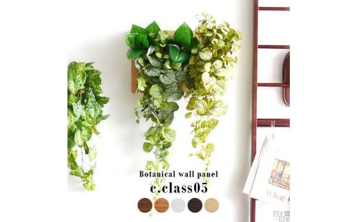 
Botanical c.class 05
