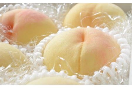 もも モモ 桃 ギフト 贈り物 プレゼント 夏ギフト 果物 フルーツ 人気 産地直送 和歌山県 お取り寄せ / 【産直・人気の特産品】和歌山の桃　約4kg・秀選品※2024年6月下旬頃から8月上旬頃順