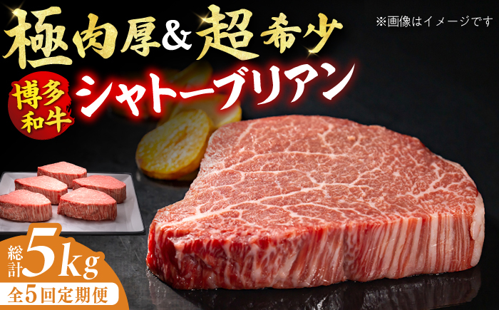 
【全5回定期便】博多和牛 ヒレ シャトーブリアン 200g×5枚 牛肉 ステーキ お歳暮 お中元 贈答用 シャトーブリアン ヒレ ヒレステーキ 赤身 父の日 母の日 敬老の日 広川町 / 久田精肉店株式会社 [AFBV031]
