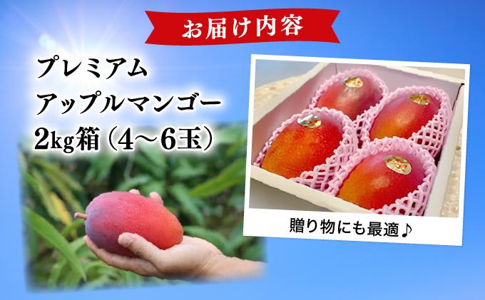 【2027年夏発送】【先行予約】プレミアム アップルマンゴー！2kg箱(4?6玉)