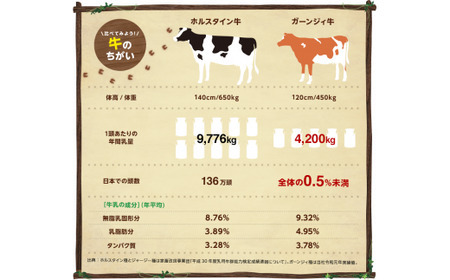 【6ヵ月定期便】南ヶ丘牧場 アイスクリーム 12個セット スイーツ アイス 高級アイス アイスクリーム 詰め合わせ 乳牛 冷凍 栃木県 那須町〔P-171〕