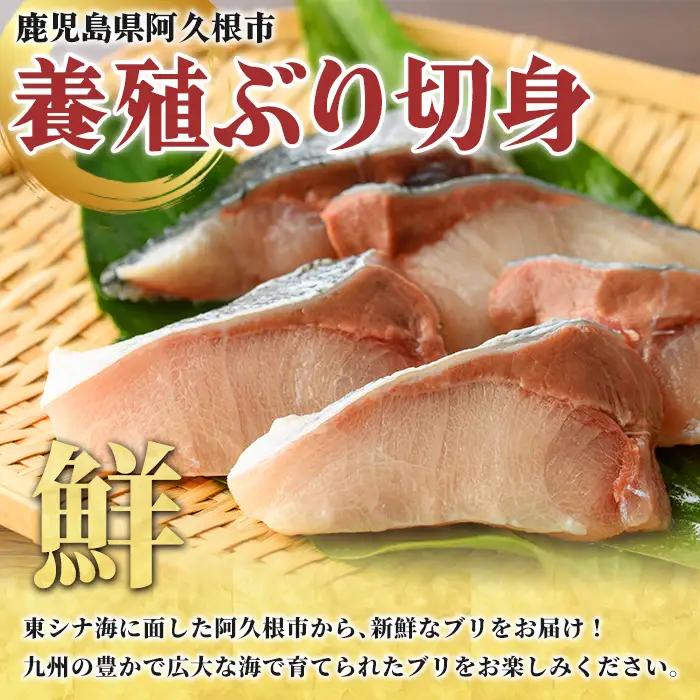 養殖ぶり切身(約1kg) 鹿児島県 阿久根市 ブリ ぶり 鰤 魚貝 魚介 海産物 切身 切り身 煮物 煮つけ 焼き魚 おかず おつまみ 小分け 【さるがく水産】akn028-44