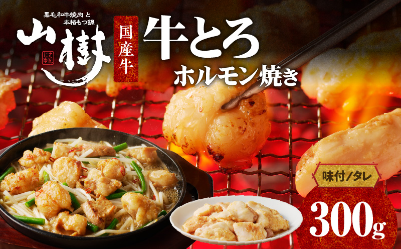 【ふるさと納税】山樹の国産牛とろホルモン焼き（味付/タレ）　300g