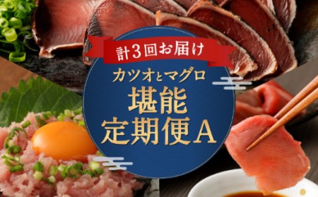 海鮮 定期便 【全３回】カツオとマグロ堪能定期便A  まぐろ マグロ 刺身 鮪 カツオ ネギトロ 海鮮 魚 惣菜 魚介類 まぐろ まぐろたたき 海産物 冷凍 訳あり 鰹