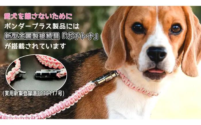 ペット 犬の首輪＆リードセット ピンク L ペット BLBX003