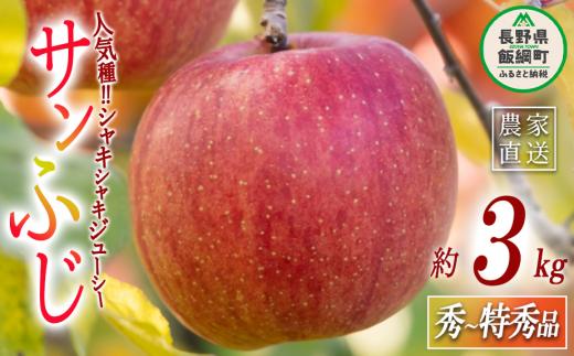 りんご サンふじ 秀 〜 特秀 3kg マルハ農園 沖縄県への配送不可 2026年12月上旬頃から2026年12月中旬頃まで順次発送予定 令和8年度収穫分 エコファーマー認定 信州 果物 フルーツ リンゴ 林檎 長野 予約 農家直送 長野県 飯綱町 [1636]