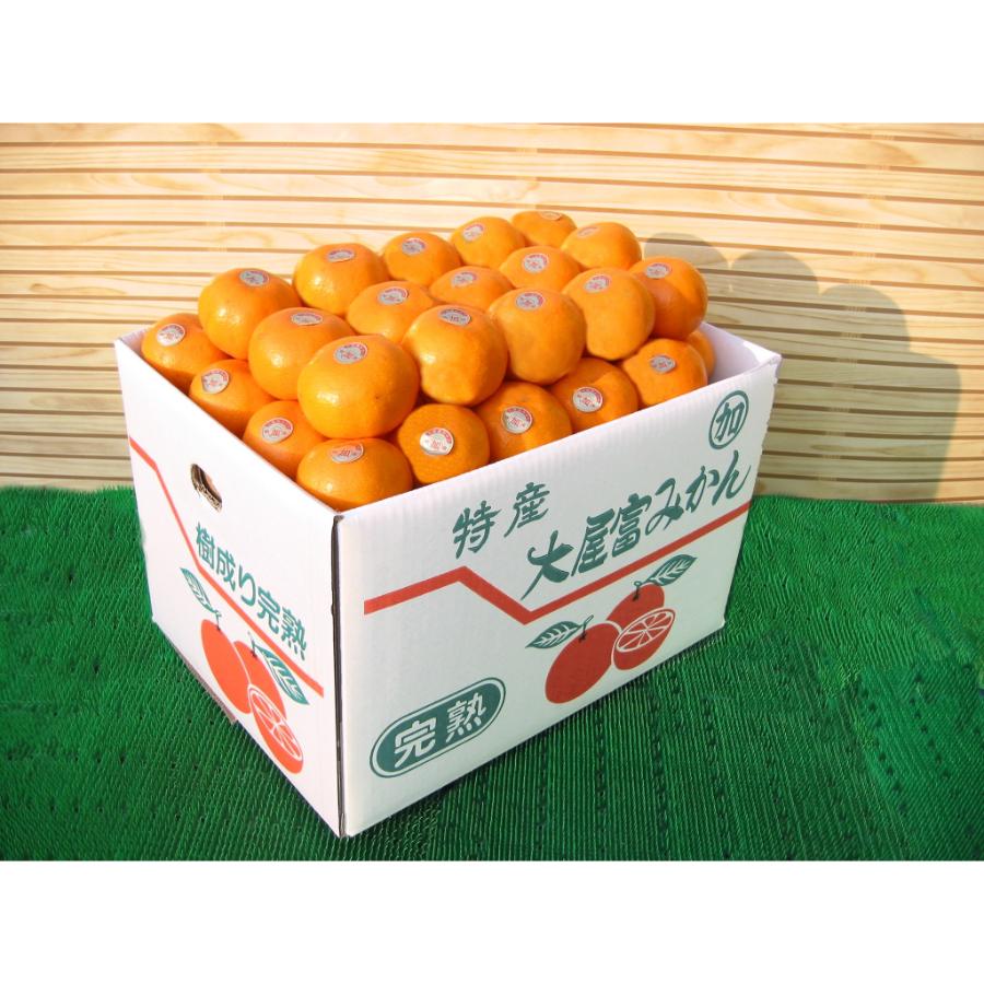 温州みかん10kg( S～Lサイズ)