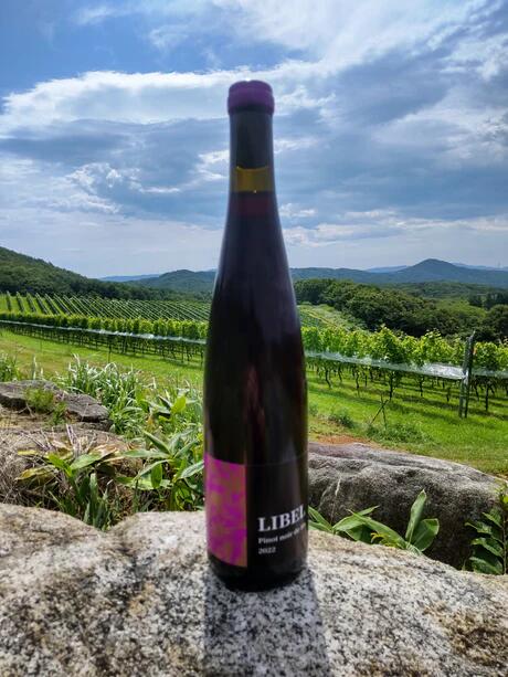 【ふるさと納税】リベルピノノワールdeHo2023