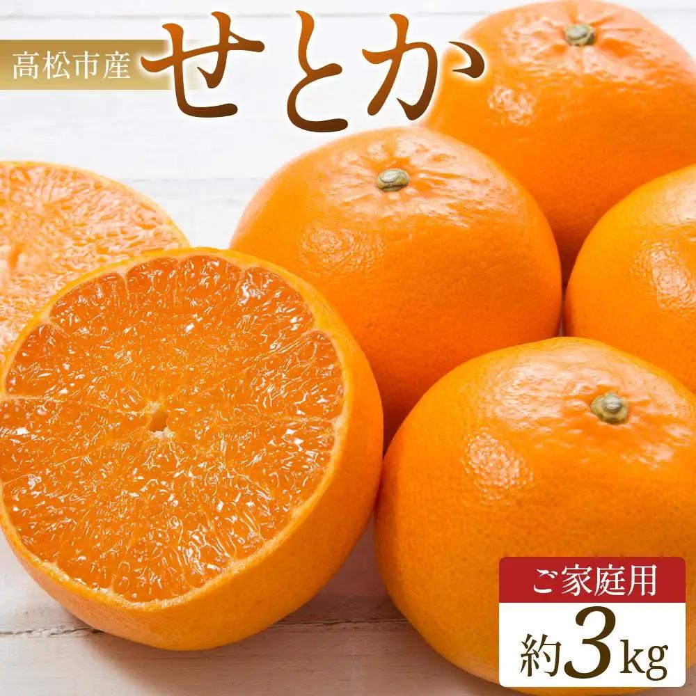 ご家庭用　せとか　約3kg【2027年2月中旬～2027年3月下旬配送】 せとか