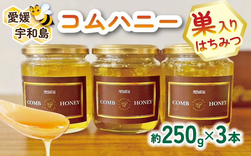 ＼10営業日以内発送／ 巣蜜 コムハニー 250g × 3本 セット 宇和島農産 ハチミツ 蜜 百花蜜 巣みつ 巣ミツ 人気ハチミツ 非加熱 はちみつ 蜂蜜 ハニー 百花蜂蜜 百花はちみつ 純粋はちみつ 生はちみつ 天然はちみつ 産地直送 愛媛 宇和島 F025-132013