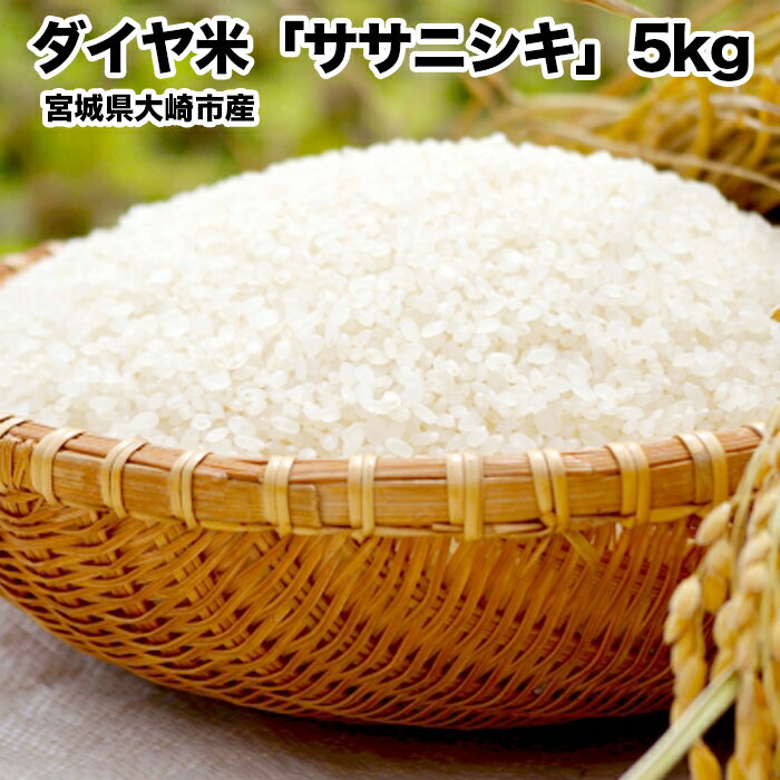 【ふるさと納税】《令和7年産》宮城県大崎市産ササニシキ「ダイヤ米」白米5kg｜希少な無農薬ブランド米・精米済・ご飯に最適【送料無料・ふるさと納税返礼品】