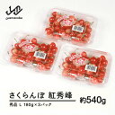 【ふるさと納税】先行予約 さくらんぼ 紅秀峰 秀品 L 約540g 令和7年産 2025年産 山形県産 フルーツ 果物 送料無料 tf-bspsl540