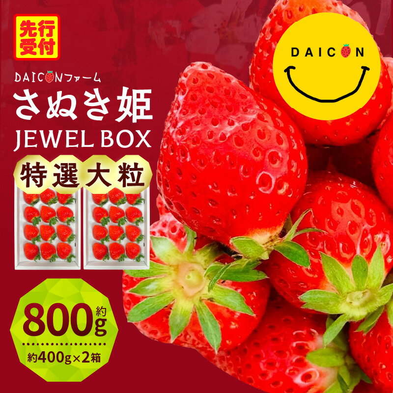 【ふるさと納税】【先行予約】DAICONファーム さぬきひめJEWEL BOX（さぬきひめ苺（特選大粒）2箱 約800g）いちご 苺 果物 果実 果汁 青果物 高級 大粒いちご 特選大粒 ご褒美 贈答 贈り物 人気 おすすめ 化粧箱 スイーツ デザート 旬 旬の果物 香川県 三木町 送料無料