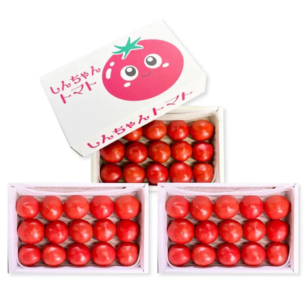 【先行予約】フルーツトマト しんちゃんトマト 糖度9度以上 約2.25kg（小〜大玉サイズ：10〜20個/750g×3箱） 高知県土佐市 【横山真吾】 [BQCG004]