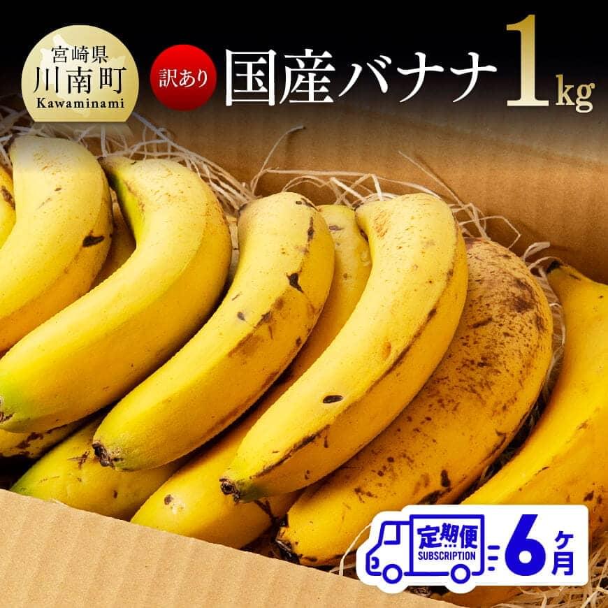 【定期便】【訳あり】国産バナナ1kg 6ヶ月定期便 国産 バナナ 無農薬 フルーツ 果物 デザート 朝食 スムージー 川南町 全6回