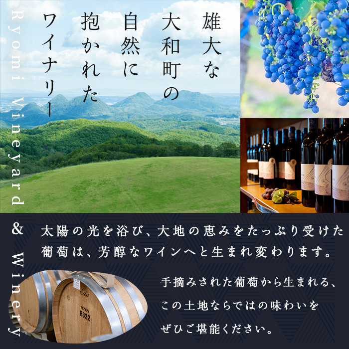 自社葡萄を使用した白ワイン モンドブリエ 750ml×1本 ラセリー美 ドライ ぶどう ブドウ アルコール ギフト 宮城県産 みらいファームやまと 【了美ワイナリー】ta470