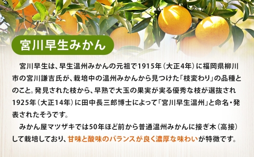 【 樹上完熟 】 長崎みかん （ 宮川早生 ） 約5kg 果物 フルーツ 国産 長崎県産 果実 果汁 果肉 柑橘 【 2026年11月下旬～12月下旬発送予定 】