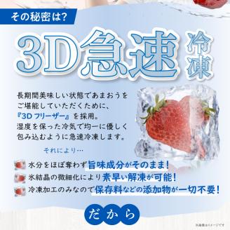【数量限定】福岡県産あまおう（冷凍1kg）特別栽培_数量限定 急速冷凍 いちご あまおう 1kg 冷凍 3Dフリーザー 長期保存可能 国産 サクサク シャーベット フルーツ デザート フレッシュ 果物
