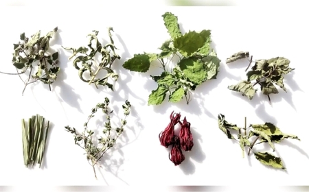 【 リフレッシュミント 】 山梨のっぷい産ご褒美ハーブティー ティーバッグ 3包 ハーブティー ハーブ お茶 国産 山梨県産 ティーバッグ