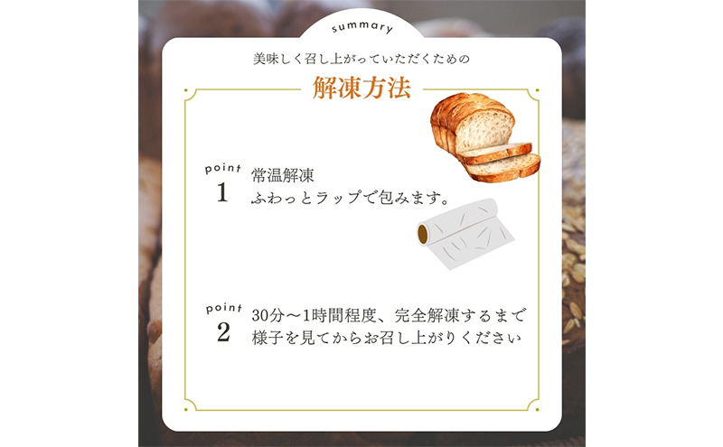 【 定期便 6ヵ月】ベーグル詰め合わせ 12個 パン 国産 冷凍 ベーグル プレーン セット 詰合せ 詰め合わせ にかほ市 秋田 秋田県