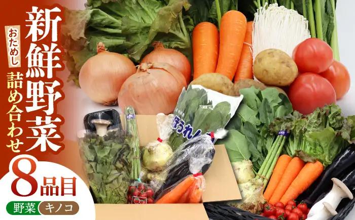 お試し 野菜セット 8品目 [SCZ027]