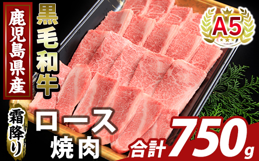 K-482-C 鹿児島県産A５等級黒毛和牛霜降り上ロース焼肉(計750g)【ふるさと産直バザール】