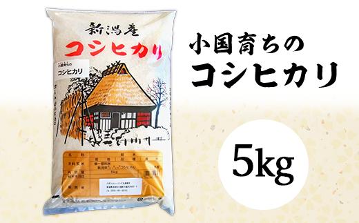 58-06B小国育ちのコシヒカリ5kg