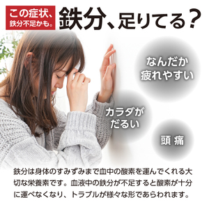 鉄分補給にオススメ！ 南部鉄器 鉄玉子 丸型3個セット [BE011]