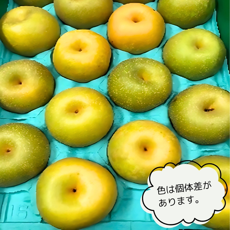 ホウナンの梨（幸水梨）約5kg 果物 フルーツ ナシ 先行予約