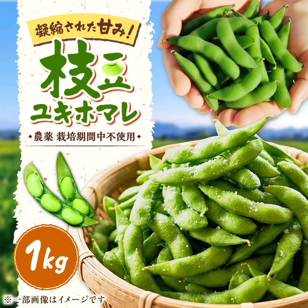 【ふるさと納税】【バランス農法】 枝豆 1kg (ユキホマレ) | えだまめ ユキホマレ 産地直送 北海道 期間限定 | あぐりこ園[BOAA003]