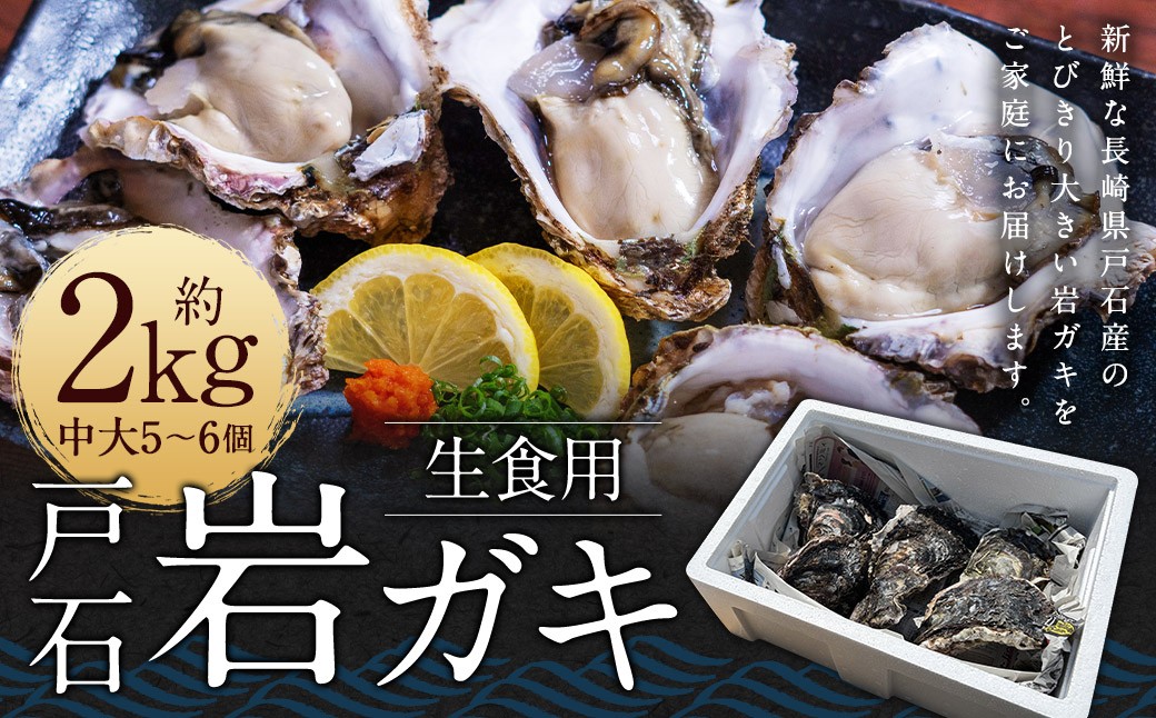 
                  戸石岩ガキ （姫岩ガキ） 生食用 約2kg （小中10～15個） オイスターナイフ付き 姫岩牡蠣 岩牡蠣 岩ガキ 牡蠣 カキ 生食 貝 貝類 海鮮 九州 長崎県 長崎市 冷蔵 【2026年5月下旬~7月下旬迄発送予定】
                