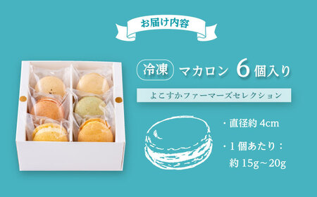 マカロン6個セット　よこすかfarmersSelection マカロン　お菓子　スイーツ 野菜　【マカルース】[AKGS001]