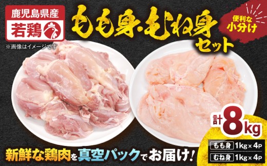 鹿児島県産若鶏もも身・むね身 8kgセット　KN105-019-01