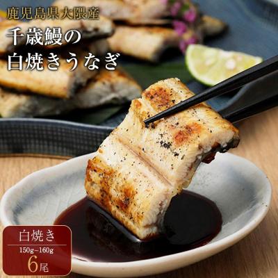 ふるさと納税 大崎町 鹿児島県大隅産　千歳鰻の白焼鰻　6尾