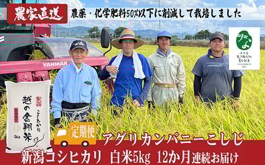
                  J8-7C05ZA【12ヶ月連続お届け】新潟県長岡産コシヒカリ5kg【「小さな生き物たちと育むお米」認証品】
                